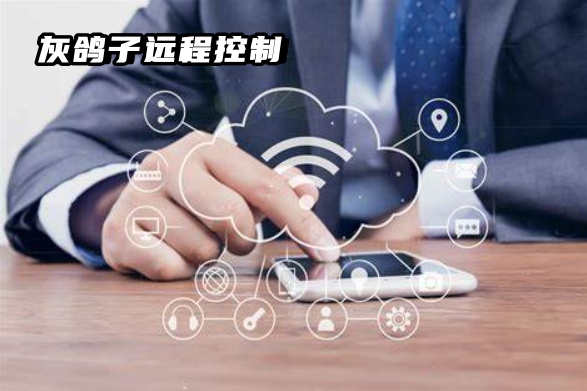 灰鴿子、向日葵、To desk、Team Viewer、Anydesk
