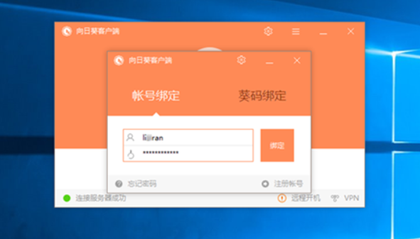 灰鴿子、向日葵、To desk、Team Viewer、Anydesk