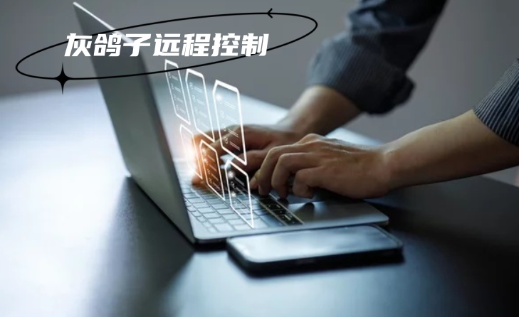灰鴿子、向日葵、To desk、Team Viewer、Anydesk