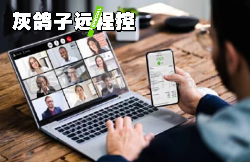 灰鴿子、向日葵、To desk、Team Viewer、Anydesk